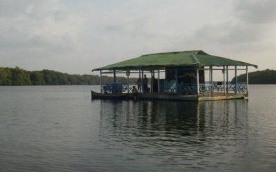 Ciénaga La Caimanera, un Paraíso de Ecoturismo en Coveñas