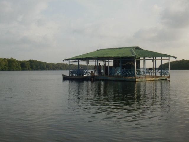 Ciénaga La Caimanera, un Paraíso de Ecoturismo en Coveñas